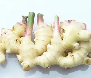 Ginger Fresh (Nya Adrak)