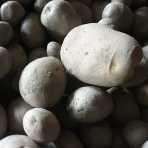 Potato Phadi (Aloo Phadi)