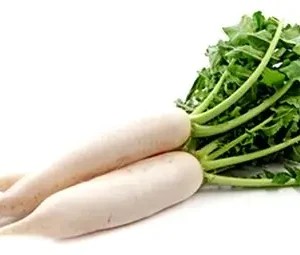 Radish (Mooli)