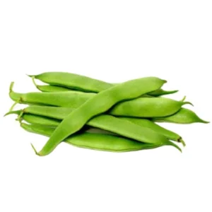 Broad Beans (Sem Phali)
