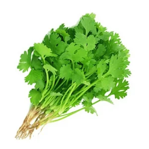 Coriander (Hara Dhaniya)