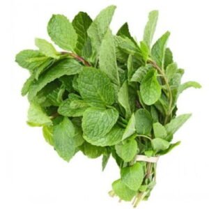 Mint (Pudina)