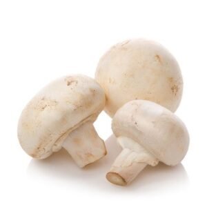 Mushroom