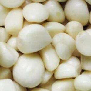 Garlic (Dana)