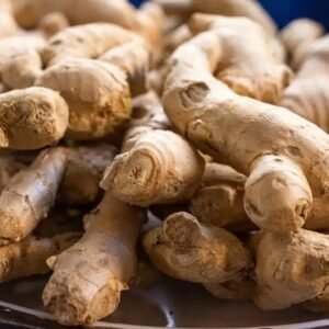 Ginger (Small)